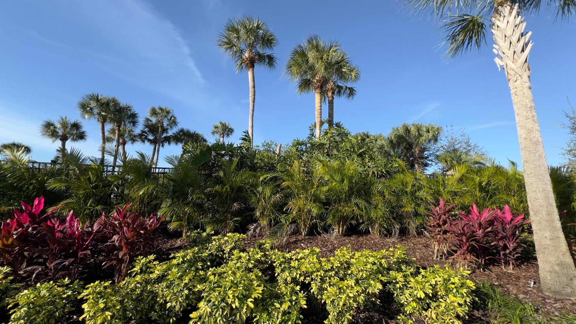 Wyndham I-Drive Avanti Resort & Conference Center Orlando Exterior foto